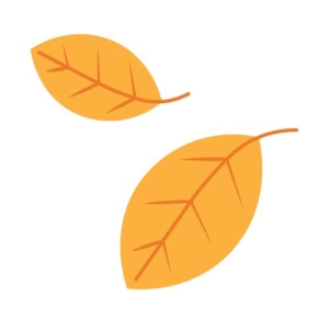 falling leaves 
