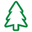 white cedar tree icon